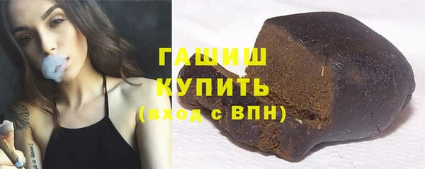 гашик Алексин