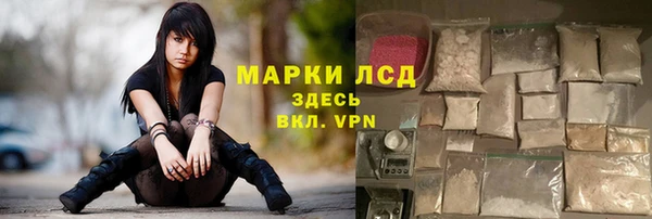 гашик Алексин