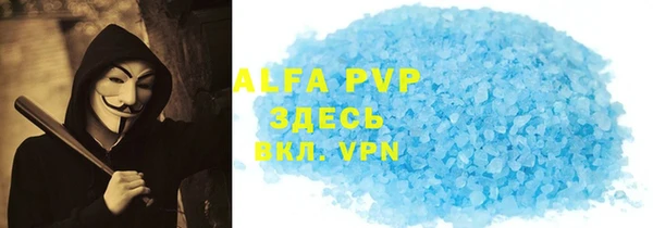 гашик Алексин