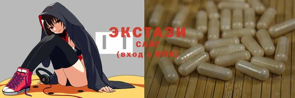 гашик Алексин