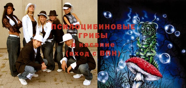 шишки Алзамай