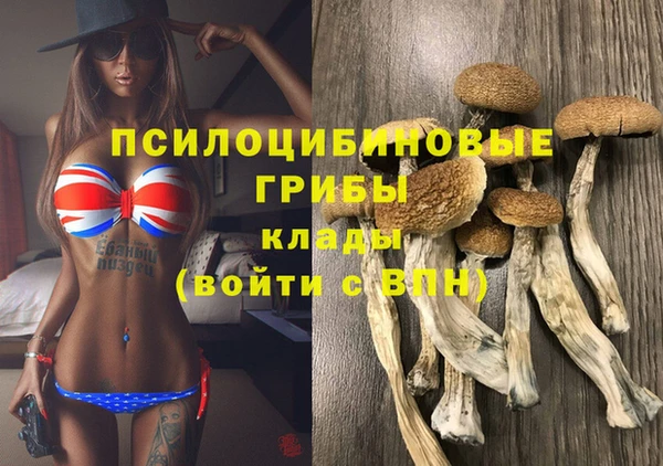 шишки Алзамай