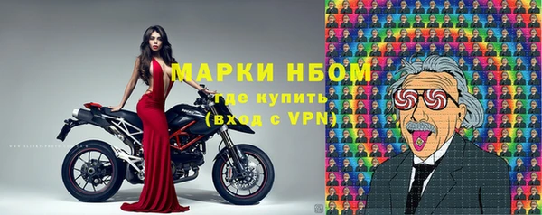 шишки Алзамай