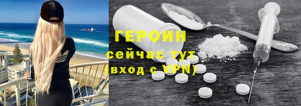гашик Алексин