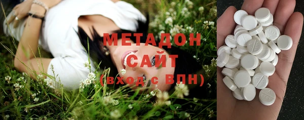 гашик Алексин