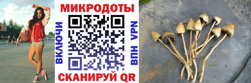 наркотики  Дегтярск  Псилоцибиновые грибы GOLDEN TEACHER 