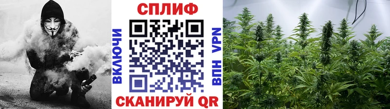 Конопля Bruce Banner  мориарти как зайти  mega онион  Дегтярск  дарнет шоп 